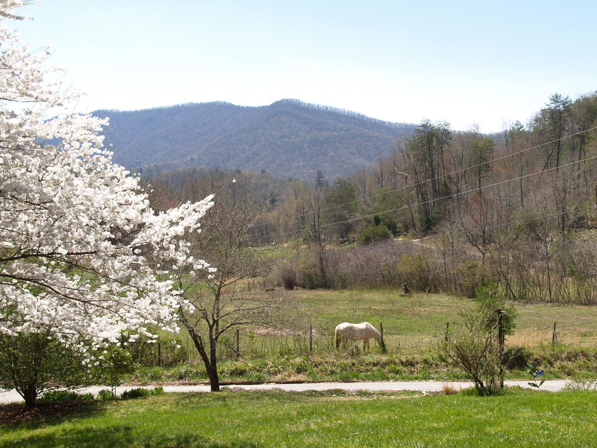 Henson Cove Place Bed And Breakfast W/Cabin Hiawassee Zewnętrze zdjęcie