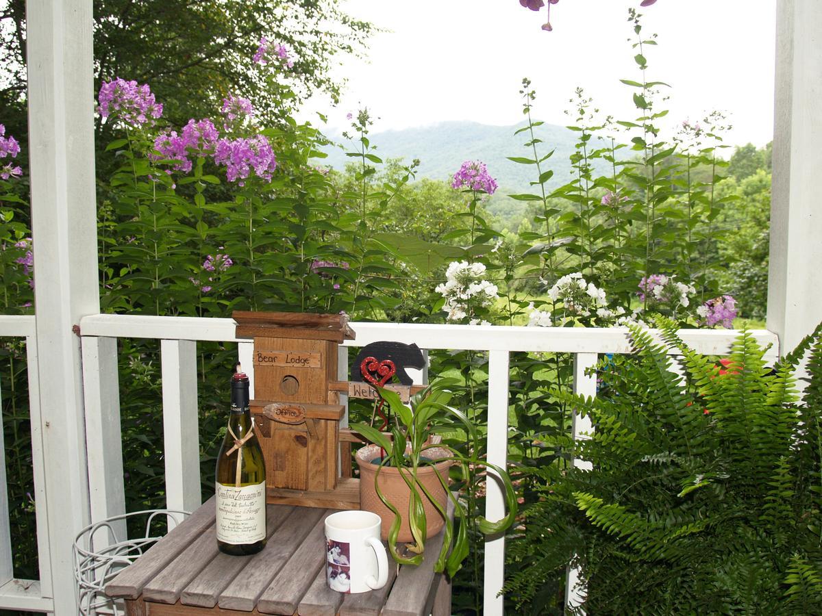 Henson Cove Place Bed And Breakfast W/Cabin Hiawassee Zewnętrze zdjęcie